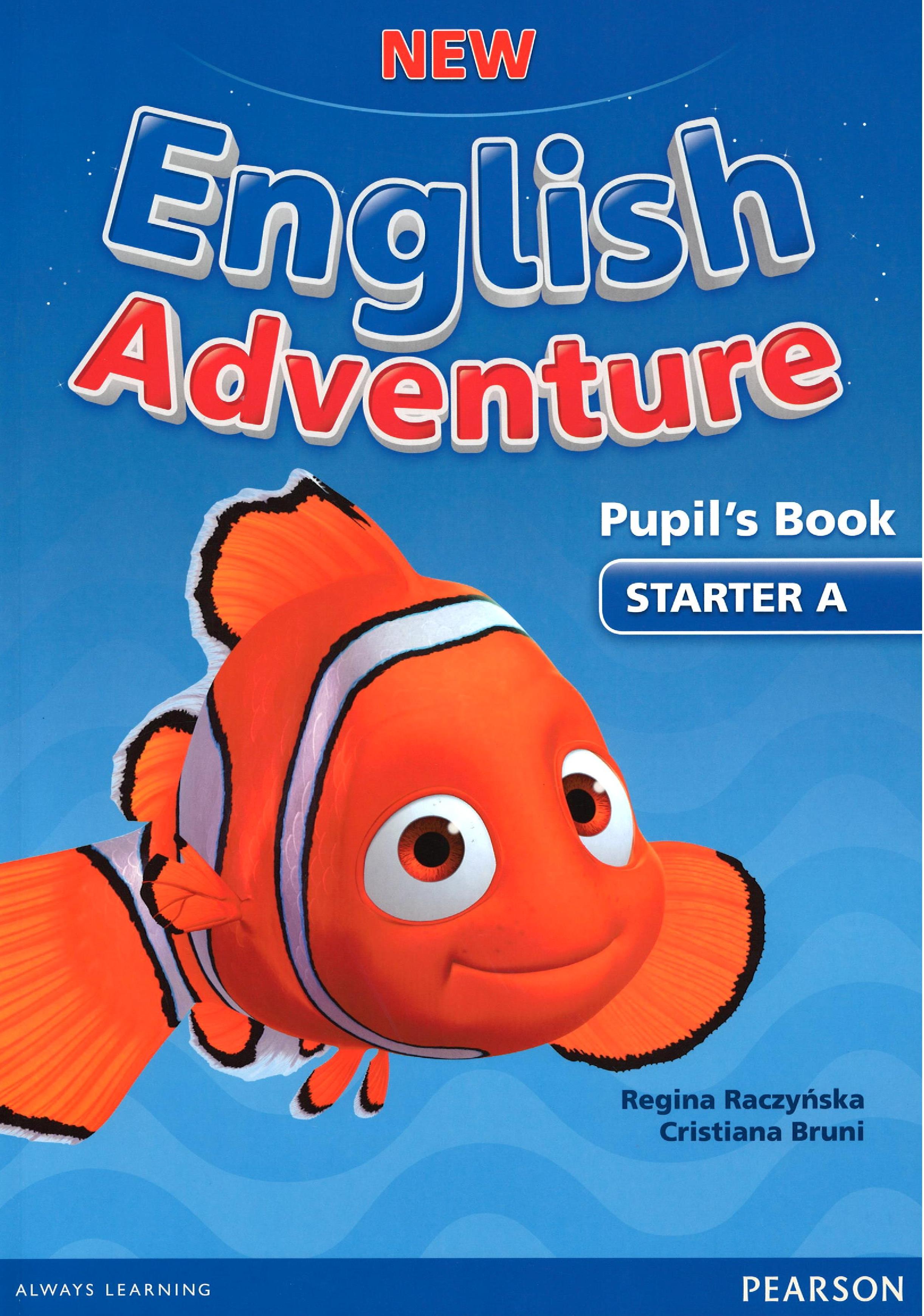 nea starter a pupils book